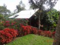 /album/cliff-cottage-bamboo-hut-/dsc01751-jpg/
