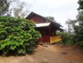 /album/cliff-cottage-bamboo-hut-/dsc01752-jpg/